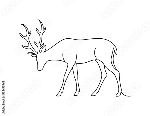 "Wildlife Minimal Stag". Minimalistic one-line drawing standing deer with slightly lowered head and refined