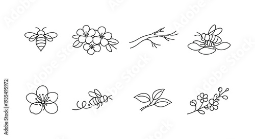 Spring flower divider set featuring blooming branches and decorative seasonal line art