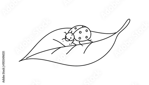 Minimal bird perched on branch line art illustration representing peaceful nature concept