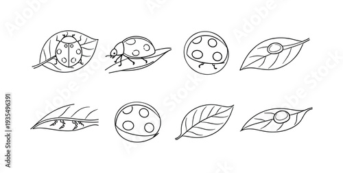 Nature themed decorative border set with leaves, moon and botanical seasonal elements