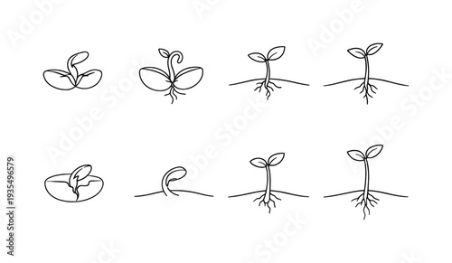 "New Life Breaking Through Seed". Minimalistic set one-line drawing open seed shell with shoot, sprout pushing