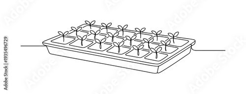 Greenhouse seedling bed with evenly planted young sprouts symbolizing sustainable farming and organic agriculture