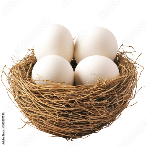 Bird'S Nest With Four White Eggs On White Background. Close-Up. Easter, Spring, And New Life Concepts.