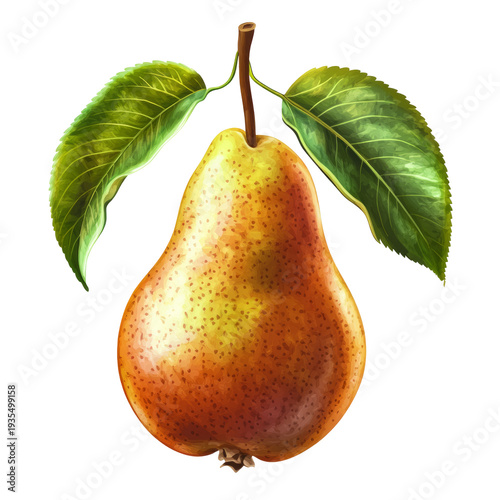 Wallpaper Mural Elegant Watercolor Painting Of A Pear With Leaves. Isolated On White. Torontodigital.ca
