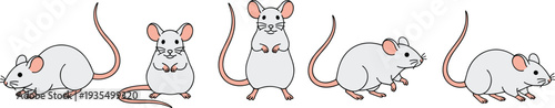 Flat vector set of white mouse characters in various poses featuring crawling sitting upright and standing positions