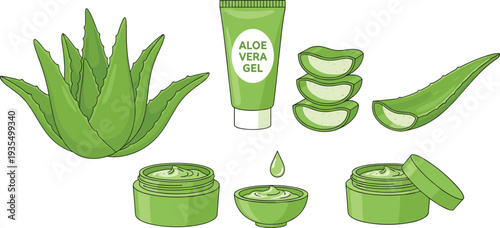 Vector set of aloe vera plant and natural skincare products featuring gel tubes jars of cream and sliced succulent leaves