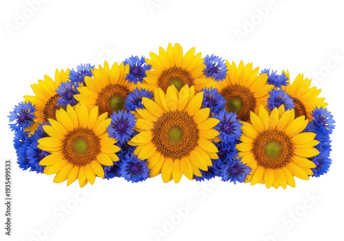 A vibrant arrangement of sunflowers and cornflowers on transparent background