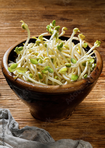Fresh Mung Bean Sprouts in Wooden Bowl