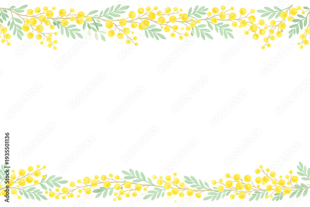 Obraz premium ミモザの枝で作られた春のボタニカル上部フレームイラスト