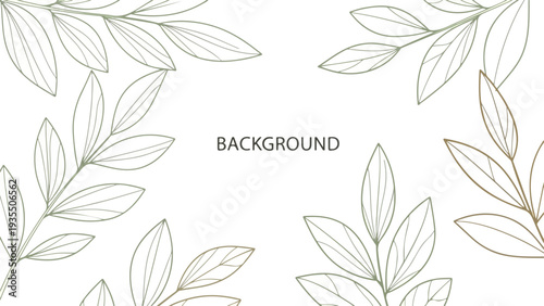 A minimalist background featuring a delicate line drawing of leaves in gold and green on a white background with the word 'BACKGROUND' in the center.