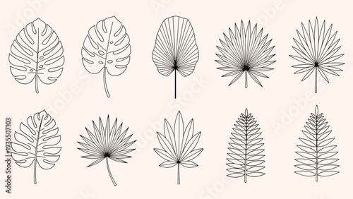 Detailed collection of ten tropical leaf varieties including palm, monstera, and fern rendered in fine black line art on a light background.
