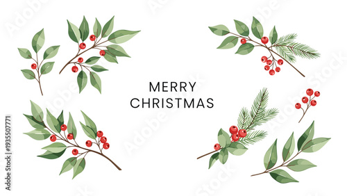 Festive Merry Christmas greeting is surrounded by various botanical elements like holly branches, green leaves, and red winter berries.