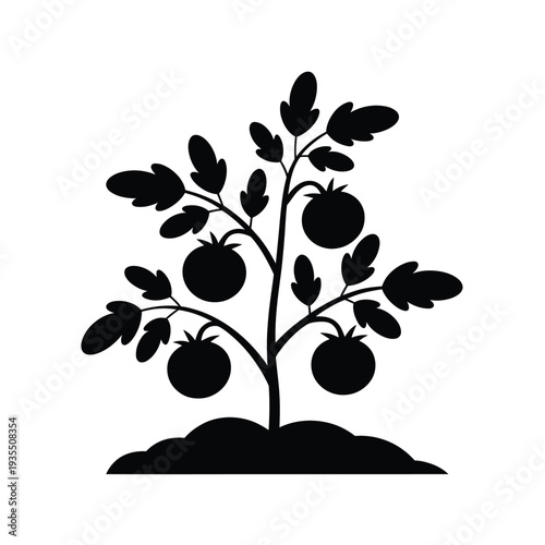 Black silhouette of a tomato plant with leaves and ripening fruit