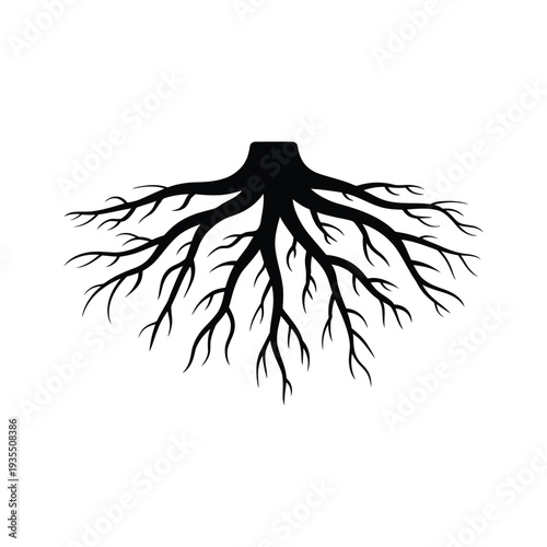 Stylized illustration of a tree root system against a white background