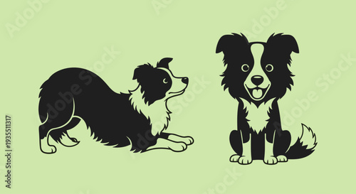 Black and White Border Collie Dogs Illustration.