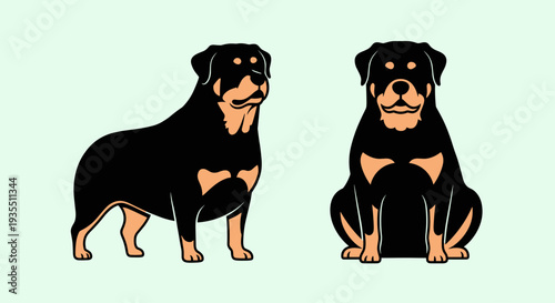 Two Rottweiler Dogs Standing and Sitting.