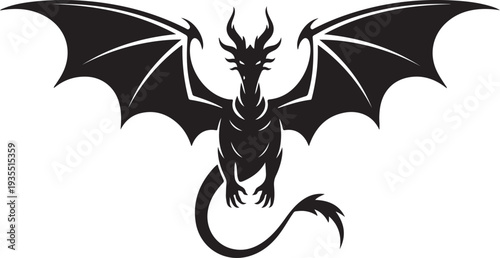 Black Dragon Front View