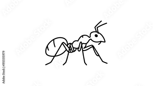 Simple Line Drawing of an Ant on White Background