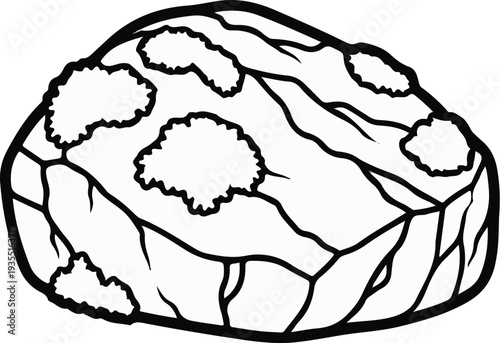 Rough, textured, boulder-like object with dark outlines and internal cracks