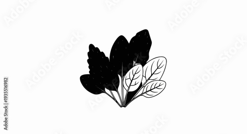 Stylized illustration of a dark and light leafy green bunch