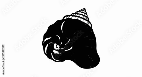 Stylized black and white spiral seashell with spiral detailing