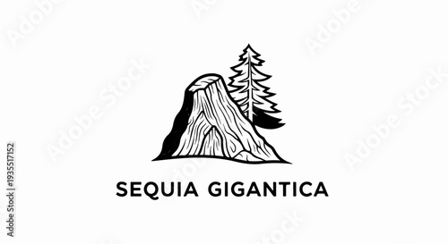 Stylized black and white drawing of a giant sequoia trunk with a tree