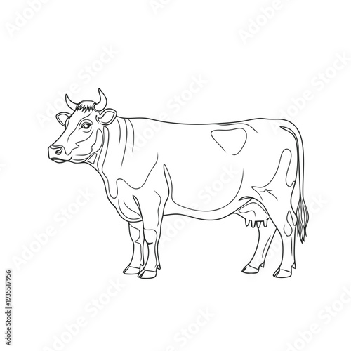 Outline drawing of a standing dairy cow with horns shown in profile against a white background for coloring activities.
