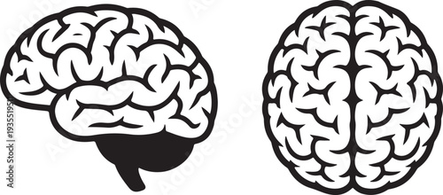 Brain icons. side and top view. mind, intelligence, psychology and neurology symbol