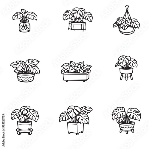 Black and white vector illustration showcasing nine different monstera plants in a variety of pots, ranging from hanging planters to wheeled containers, emphasizing diverse plant arrangement styles.