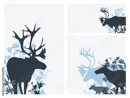 Vector set of reindeer silhouettes in different layouts with bearberry plants, animal family collection including horizontal banner and vertical card, isolated on white background