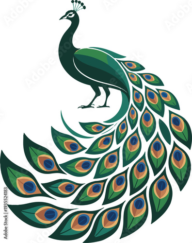 Elegant Peacock Illustration with Feather Tail Display