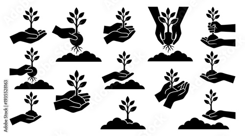 Hand holding seedlings against a white background, symbolizing growth and environmental care.