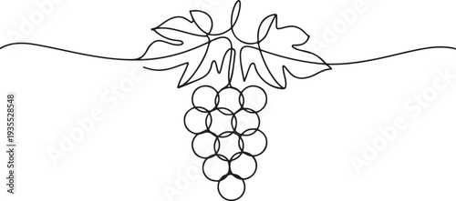 Grapes in continuous line art drawing style. Black line sketch on white background. Vector illustration