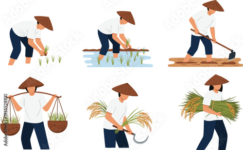 Rice Farmer Working in Paddy Field Collection with Planting Harvesting Carrying and Farming Activities Vector Illustration