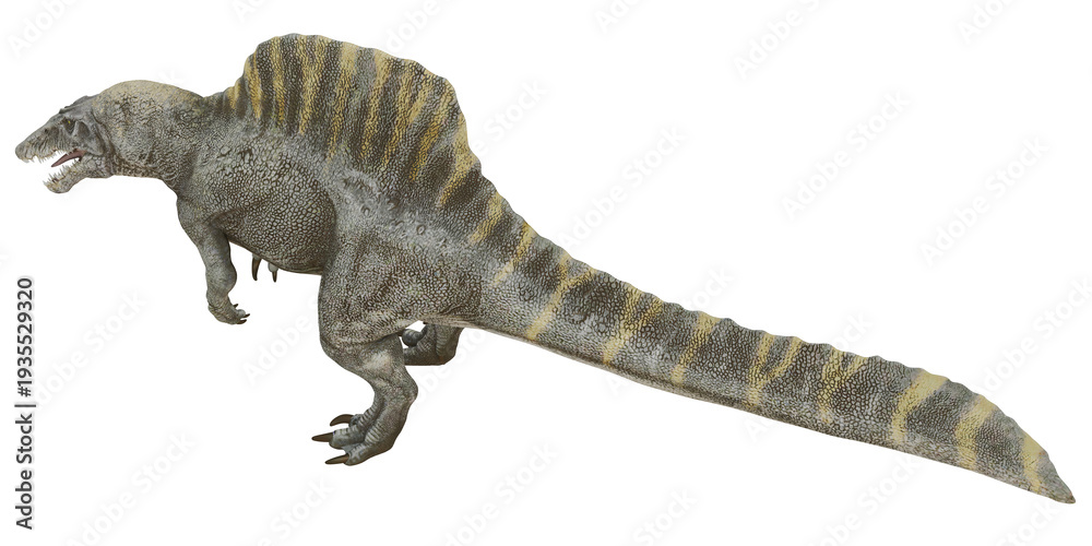 Fototapeta premium Realistic 3D rendering of a Spinosaurus dinosaur.