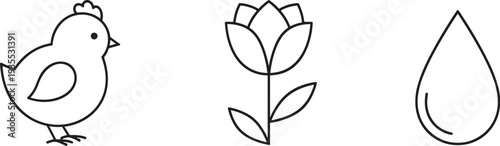 Simple line art icons of a chick, flower, and water drop on a white background