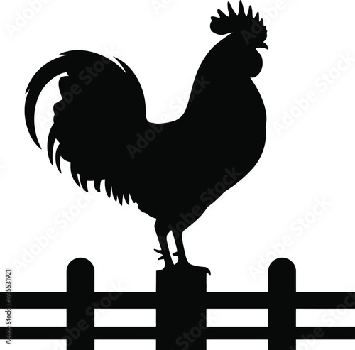 Rooster Standing On Wooden Farm Fence Silhouette