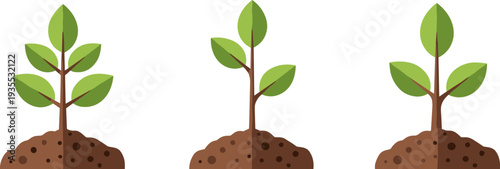 Three small green plants growing from soil in a row, representing growth and nature