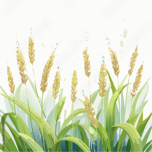 Vibrant watercolor illustration of ripening golden wheat and fresh green blades, symbolizing nature's abundance, growth, and the agricultural harvest season