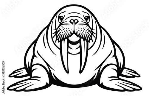 Line art illustration of a walrus depicting its characteristic tusks for arctic wildlife designs