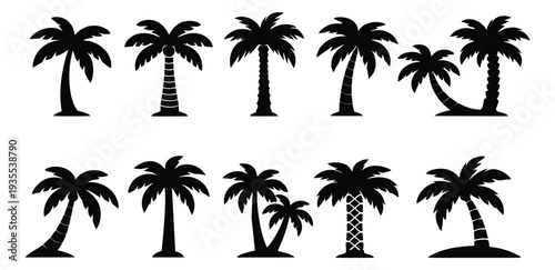 Simple silhouette palm tree set featuring different tropical tree designs for summer holiday projects