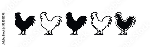 Diverse Rooster Silhouettes and Outline Icons Set on White Background