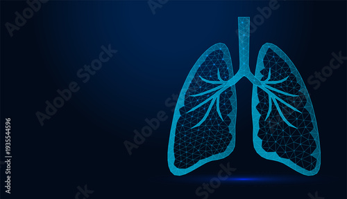 Low poly wireframe human lungs on dark blue background.