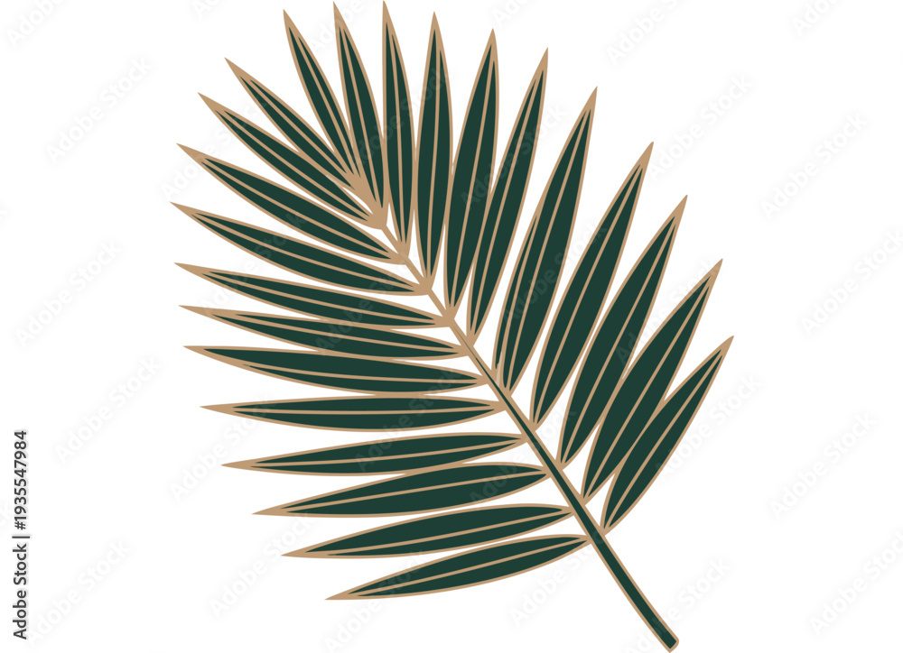 Fototapeta premium Tropical Palm Leaf Illustration isolated on transparent background