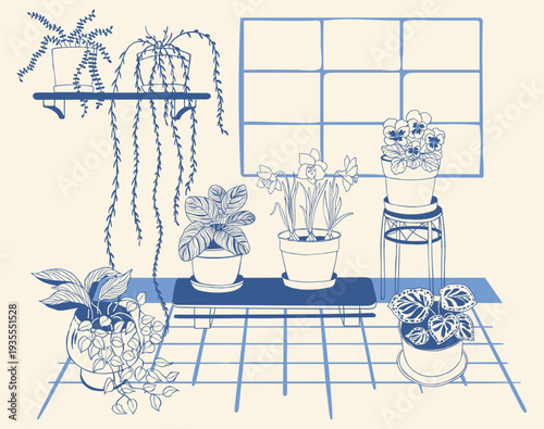 Interior illustration with houseplants in pots near window and shelf. Blue line art scene for home decor, design, print and creative projects.