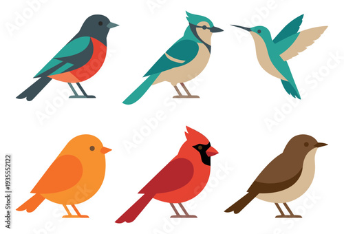 Flat design bird set featuring various colorful species for nature themes