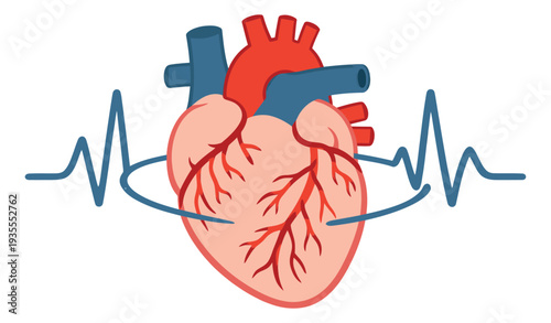 Hand drawn illustration of a human heart depicting a heartbeat with an electrocardiogram for health and medical awareness