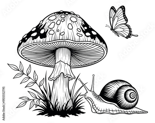 Hand drawn line art forest set featuring a mushroom, butterfly, and snail for natural design