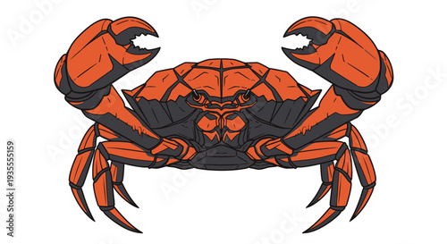 Illustration of a vibrant orange crab with black accents standing prominently on a clear surface from a direct overhead viewpoint showcasing its detailed anatomy and claws
