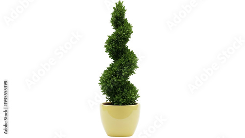 Canvas-taulu Isolated Spiral Boxwood Topiary in Pot, Indoor Decorative Plant, Natural Green F